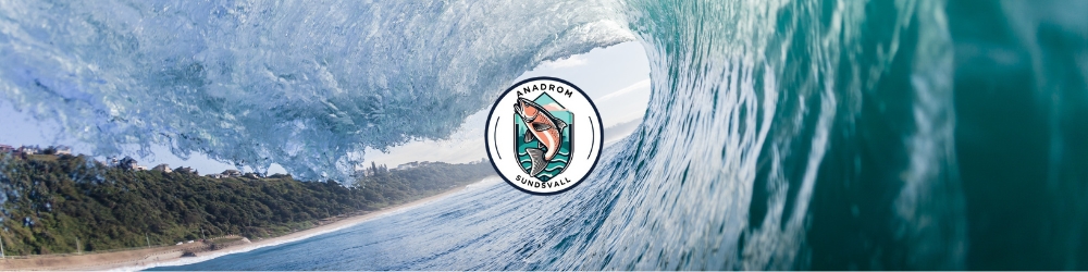 bannerbild